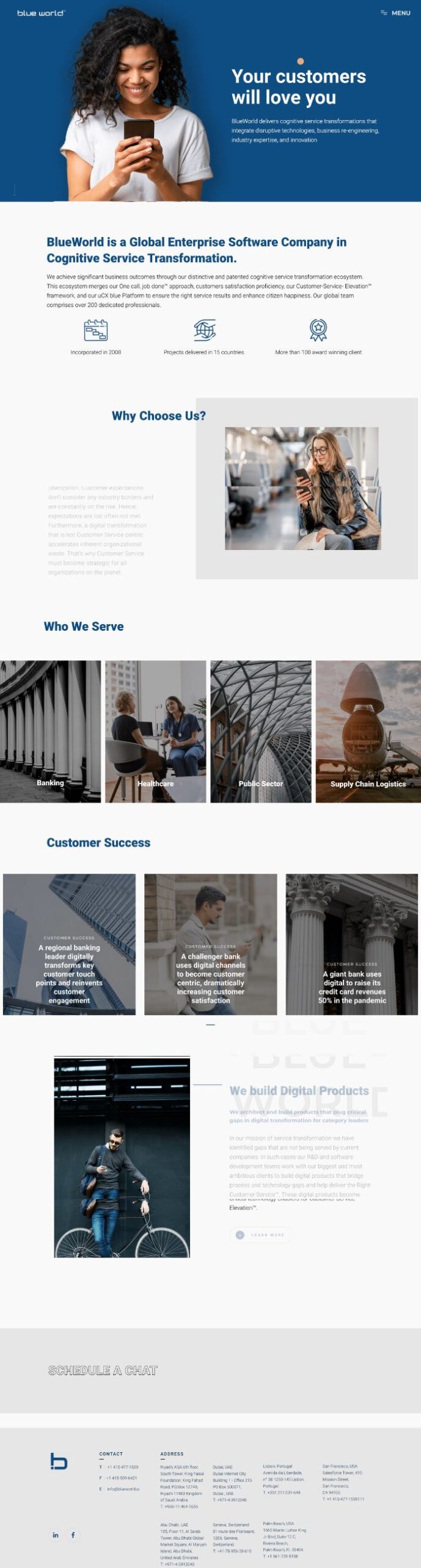 Web Portfolio In Usa